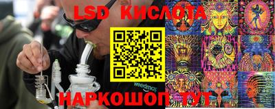 крисы Ставрополь