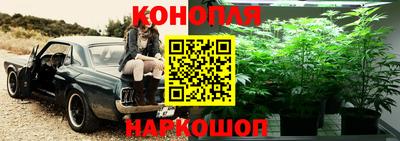 прущие грибы Тверь