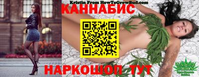 дживик Тара