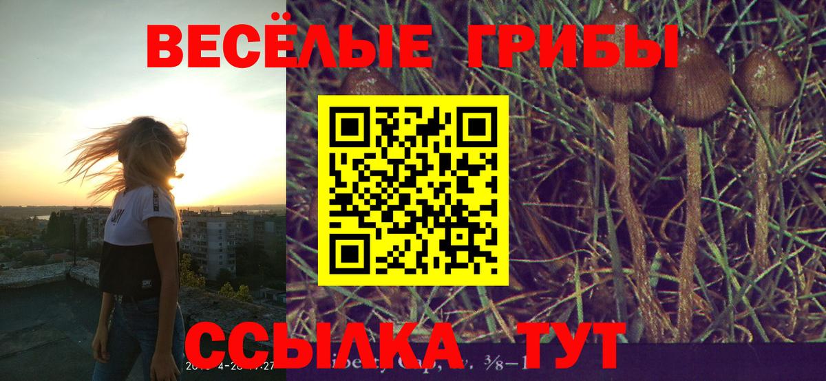 Белово  Галлюциногенные грибы мицелий  Вход с VPN 